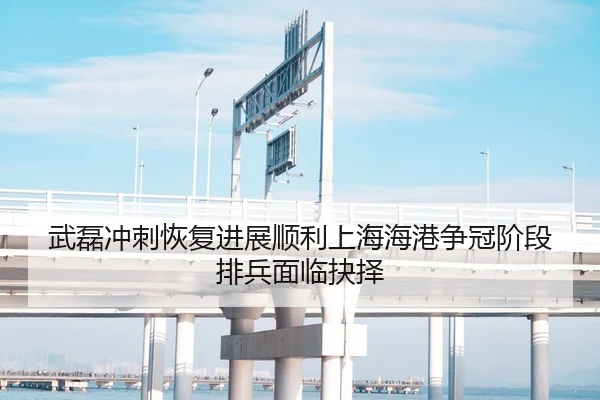 武磊冲刺恢复进展顺利上海海港争冠阶段排兵面临抉择