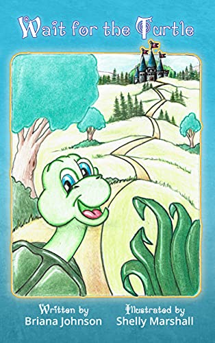 Wait for the Turtle by Briana Johnson, Christian Author