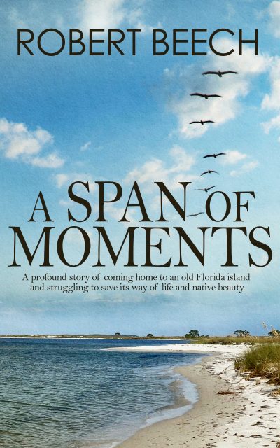 A Span of Moments by Robert Beech