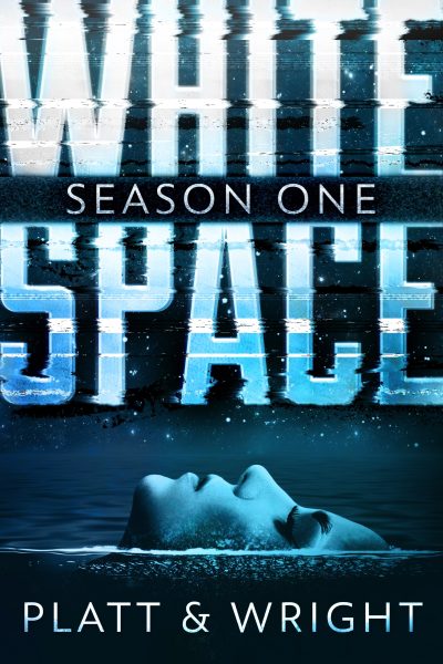 Featured Book: WhiteSpace by Sean Platt