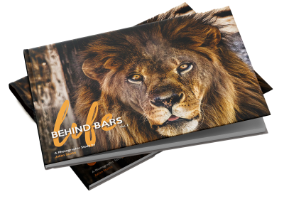 Featured Book: Life Behind Bars Vol. 1 by Julian Starks
