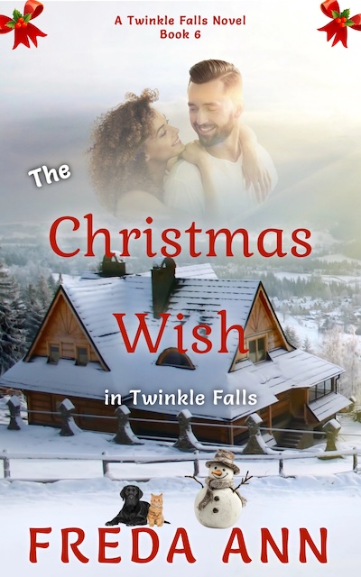 Featured Book: The Christmas Wish in Twinkle Falls by Freda Ann